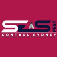 Termite Control Sydney image 1