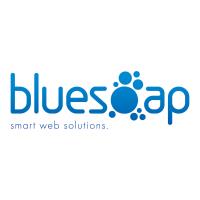 BlueSoap Website Designers image 2