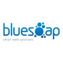 BlueSoap Website Designers logo