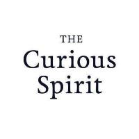 The Curious Spirit image 1