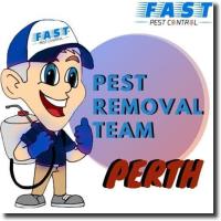 Fast Pest Control Perth image 5