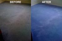 Pro Carpet Cleaning Melbourne image 17