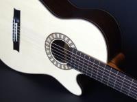 Trevor Gore Guitars image 3