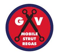 GV Mobile Strut Regas image 2