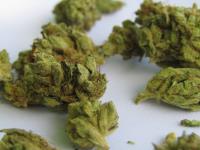 Weed Cannabis Marijuana Dispensary image 1