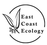 East Coast Ecology image 1