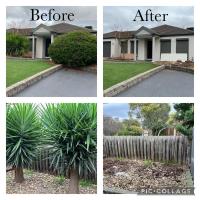 Milone’s Tree & Lawn Solutions image 4