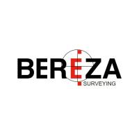 Bereza Surveying image 1