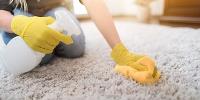 Choice Rug Cleaning Melbourne image 6