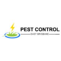 Pest Control East Brisbane image 1
