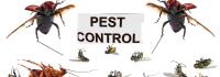 Eco Safe Pest Control Perth image 4