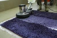 Smart Carpet Cleaning Brisbane image 50