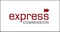 Express Commission image 1