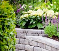 Northern Beaches Landscaping Group image 2