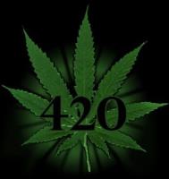420DailyHighClub image 1