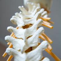 The Innate Connection- Chiropractor Croydon image 1