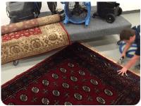 Ability Rug Cleaning Perth image 5