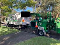 Affordable Tree Services Northern Beaches image 2