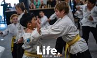 Life Martial Arts image 1