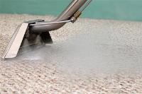 City Carpet Cleaning Hornsby image 4