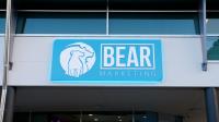 Bear Marketing image 4