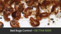 Eco Pest Control Perth image 3
