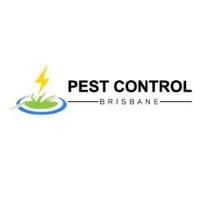Rodent Control Brisbane image 1