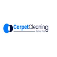 Pros Curtain Cleaning Sydney image 4