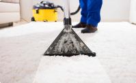 City Carpet Cleaning Melbourne image 11
