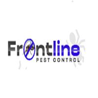 Frontline Wasp Removal Melbourne image 4