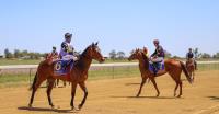 QLD Country Racing image 1