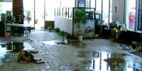 Flood Damage Restoration South Yarra image 4