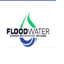 Flood Damage Restoration Newstead logo