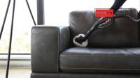 Marks Upholstery Cleaning image 2