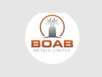Boab Metals Limited image 1