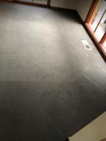 Toms Carpet Cleaning Caulfield South image 2