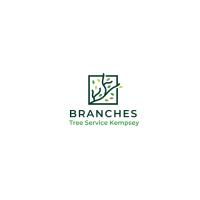 Branches Tree Service Kempsey image 1