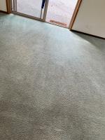 Toms Carpet Cleaning Elsternwick image 4