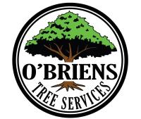 O'Briens Tree Services image 1