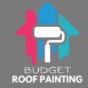 Budget Roof Painting logo