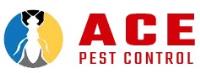 Pest Control Experts In Brisbane image 1