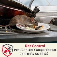 Campbelltown Pest Control image 4