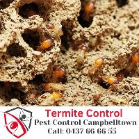 Campbelltown Pest Control image 6