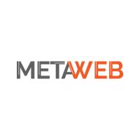 MetaWeb image 7