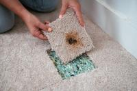 Invisible Carpet Repair Hobart image 3