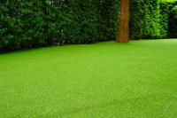 Artificial Grass Newcastle Experts image 5