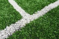 Artificial Grass Newcastle Experts image 2