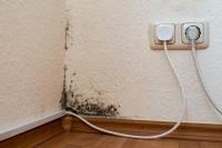 Mould Removal Newcastle Experts image 2