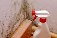 Mould Removal Newcastle Experts image 3