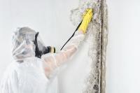 Mould Removal Newcastle Experts image 1